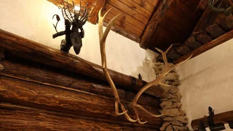 Hunter trophies and rustic elements create inviting cabin atmosphere Stock Footage 337938541
