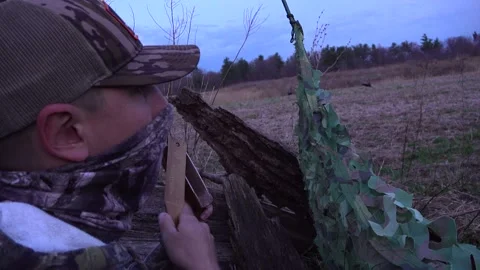 Hunter Using Turkey Box Call From Blind with Decoys in a Field Stock Footage 345165487