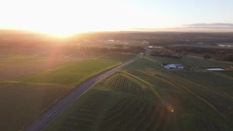 Hunter Valley Vineyard Rows and Rural Road at Sunrise, Newcastle NSW Australia Vidéo 341320456