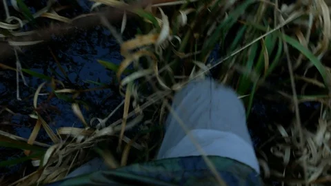 Hunter in waiders walking in the morass Stock Footage 100628954
