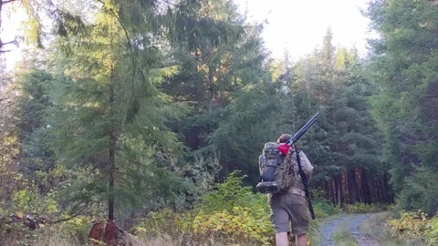 Hunter walking up logging road Stock Footage 172564013