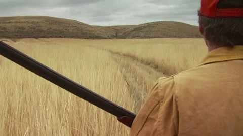 Hunter walking with shotgun in ranch Stock Footage 54593881