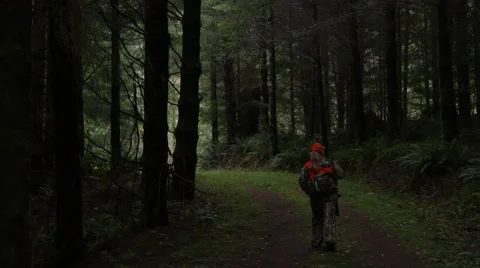 Hunter Walking Through Forest 動画素材 57109300