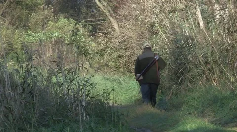 Hunter walking through nature Stock Footage 49701971