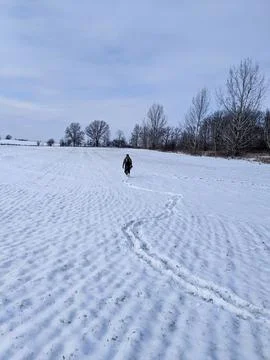 Hunter walking through a snow-covered winter agricultural field outdoors Foto stock