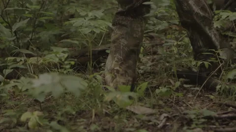 Hunter walking through the woods Stock Footage