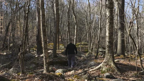 Hunter Walking Through Woods Stock-Footage 237412388