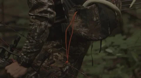 Hunter walking in woods Stock-Footage 53644385