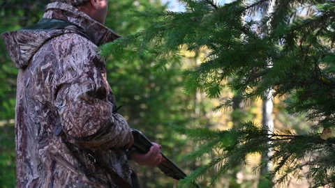 The hunter walks through the autumn forest Stock Footage 163628689