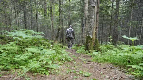 A hunter walks through the taiga of the Far East 스톡 동영상 285543397