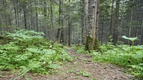 A hunter walks through the taiga of the Far East Stockbeeldmateriaal 285543521