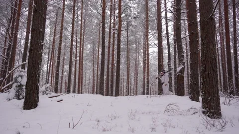 Hunter walks through the winter forest. A hunting dog is running nearby Stock-Footage 150865891
