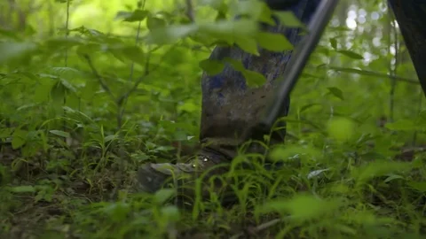 Hunter Walks Through Woods (slow motion) Stock Footage 81647211