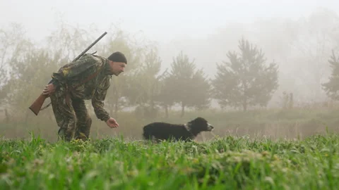 A hunter with a weapon commands a dog to run after prey in the dew near a misty Video stock 196620760