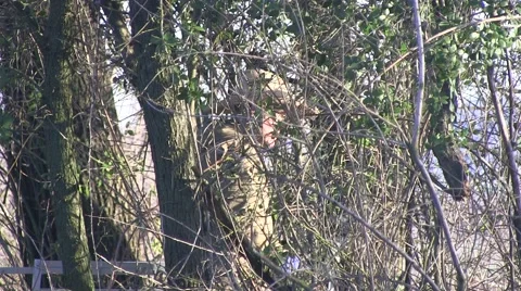 Hunter in the woods Vídeo Stock 47170818