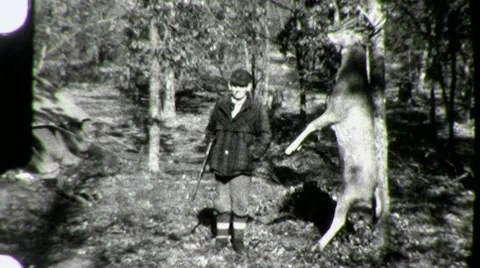 Hunters with Dead Deer in the Woods HUNTING 1940s Vintage Film Home Movie 1318 Stock Footage