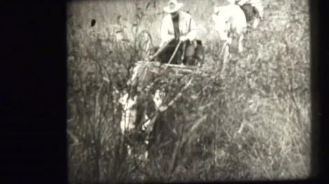 Hunters in the field Stock Footage 43245486