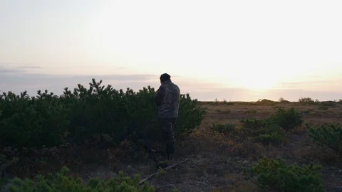 Hunters hide behind a cedar bush watching prey Stock Footage 117396340
