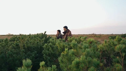 Hunters hide behind a cedar bush watching prey Stock Footage 117396378