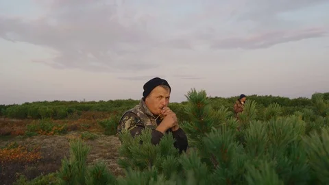 Hunters hide behind a cedar bush are called ducks, geese.Hunting decoy. The b Stock Footage 117396407