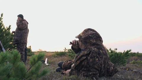 Hunters hide behind a cedar bush watching prey Stock Footage 117396476