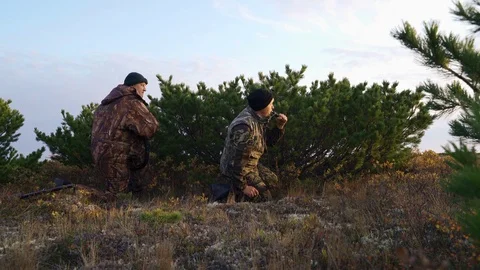 Hunters hide behind a cedar bush watching prey Stock Footage 117396532
