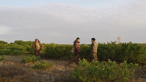 Hunters hide behind a cedar bush watching prey Stock Footage 117396654
