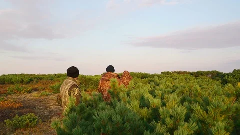 Hunters hide behind a cedar bush watching prey Stock Footage 117396775