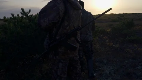 Hunters hide behind a cedar bush, watching the prey at sunrise Stock Footage 117397642