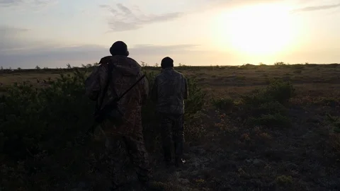 Hunters hide behind a cedar bush, watching the prey at sunrise Stock Footage 117397714