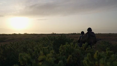 Hunters hide behind a cedar bush, watching the prey at sunrise Stock Footage 117398042