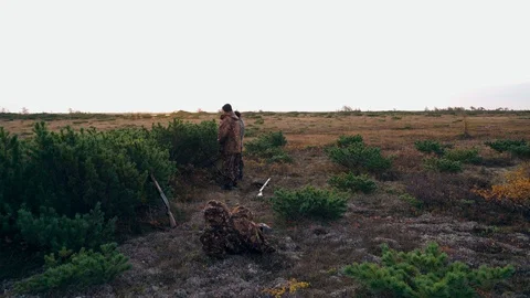 Hunters hide behind a cedar bush watching prey Stock Footage 117399052