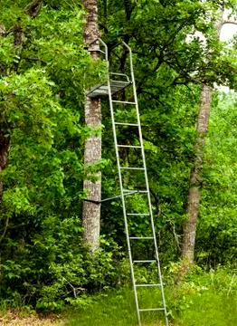 Hunters tree-stand Stockfoto's