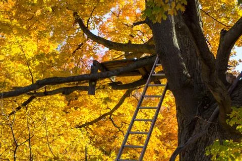 Hunters Tree Stand Stock Photos