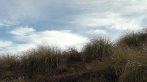 Hunters trekking up mountain side. Stock Footage 49796923