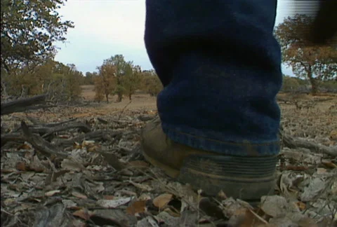 Hunters walking 04 Stock Footage 646331