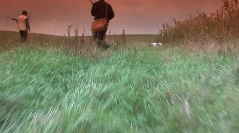 Hunters walking Stock Footage 43623566