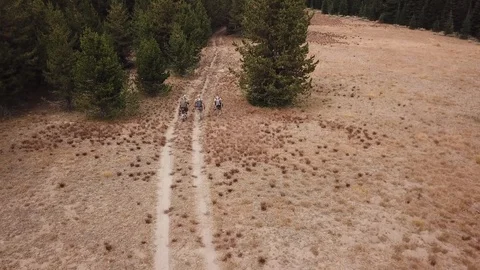 Hunters walking Stock Footage 101437274