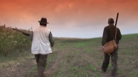 Hunters walking with guns in right position Stock Footage 43623577