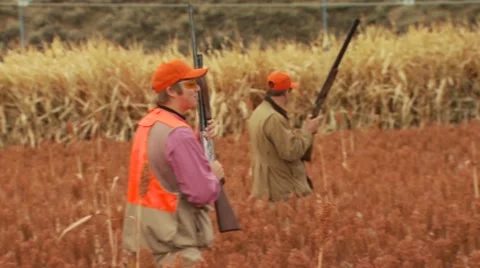 Hunters walking in ranch Stock Footage 54593629