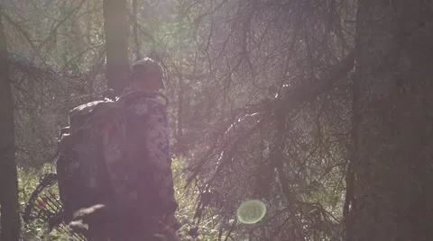 Hunters walking through the forest in slow motion Stock Footage 67903726