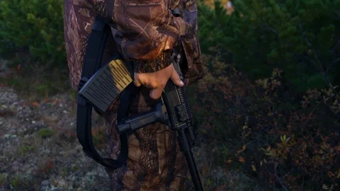 Hunters with weapons stand behind a cedar bush, watching the prey Stock Footage 117397032