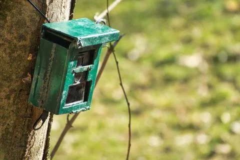 Hunting camera, camera attached to a tree, used by hunters to spy wild animal Stock Photos