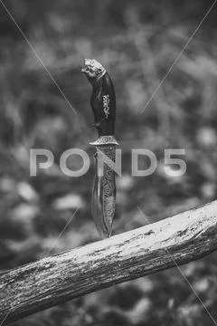 Hunting concept. Hunting knife stabbed into log. Stock-Fotos