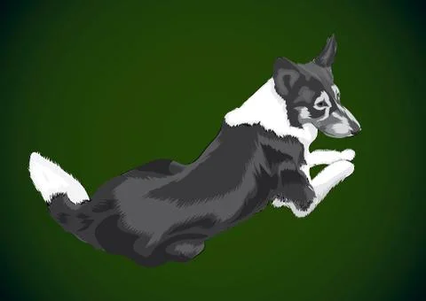 Hunting dog Stock Illustration
