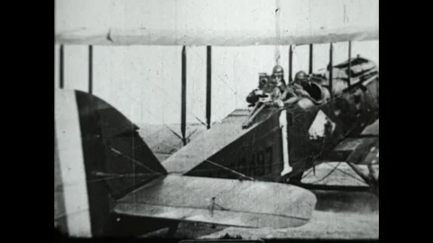 Hunting Ducks Stock Footage 83611487