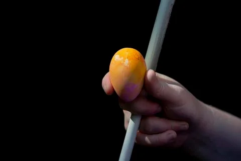 Hunting Easter Eggs Stock Photos