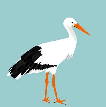 Hunting elegant stork vector illustration isolated on blue background Illustrazione stock