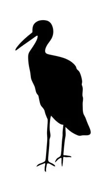 Hunting elegant stork vector silhouette illustration isolated Stock Illustration