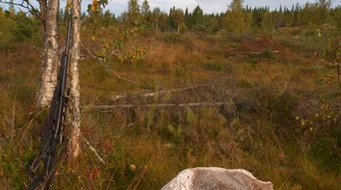 Hunting Stock Footage 12292738